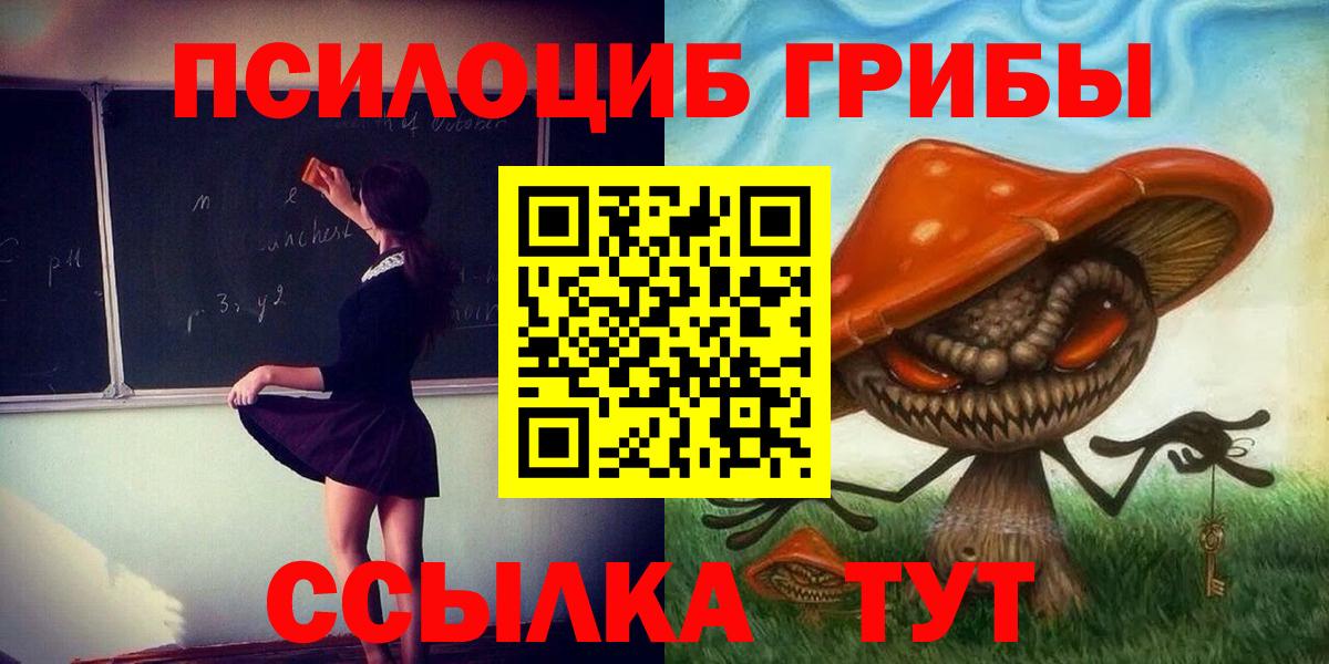Псилоцибиновые грибы мицелий Воскресенск