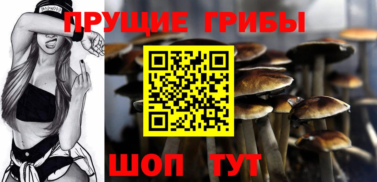Воскресенск  Галлюциногенные грибы ЛСД  Вход с VPN 